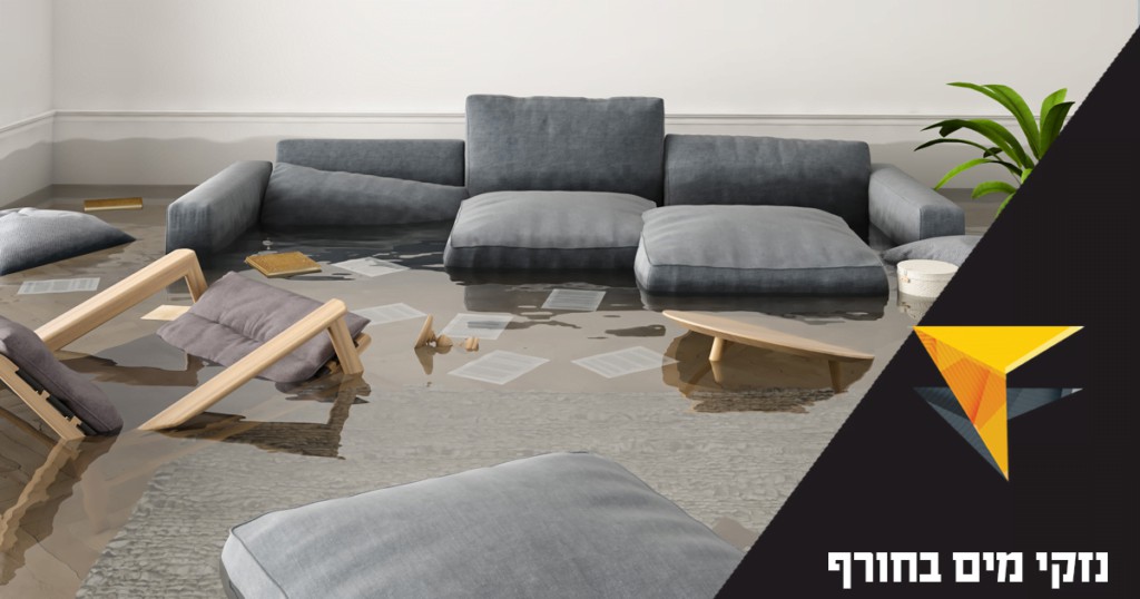 כמה עולה קורס איתור נזקי מים – מדריך מחירים ואפשרויות מימון