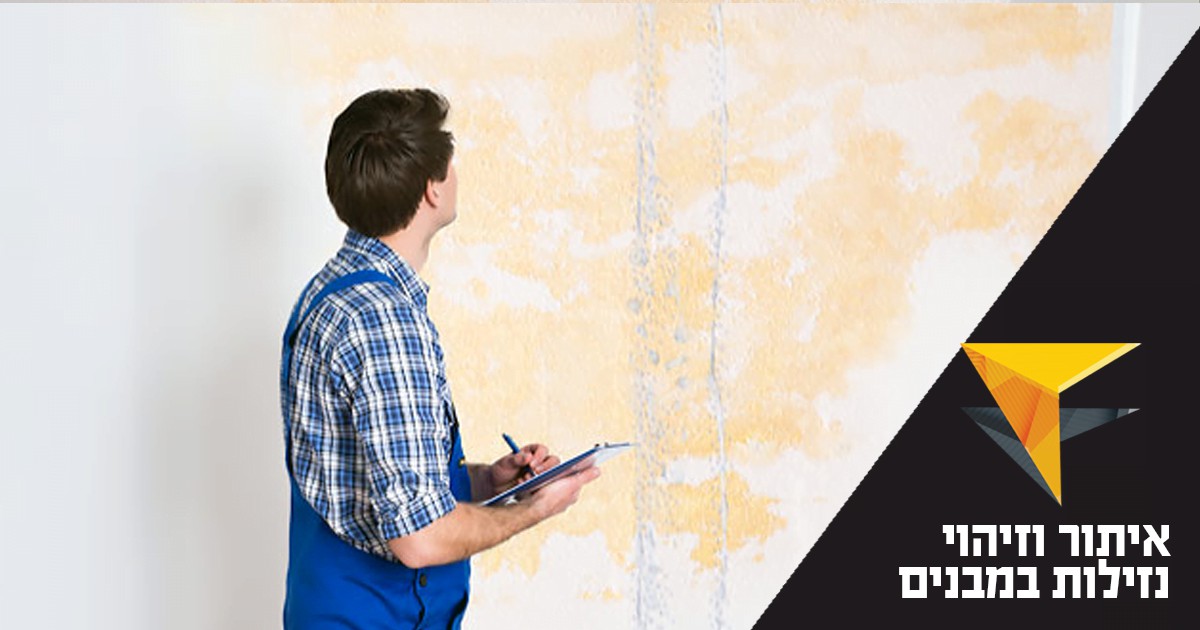 אפשרויות תעסוקה בתחום איתור נזקי מים – מדריך מקיף לקריירה מגוונת ומשתלמת