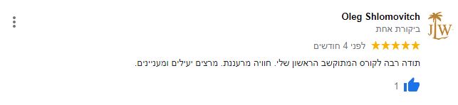 ביקורת-כללי-1-1